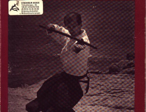 BOKKEN Art of the Japanese Sword