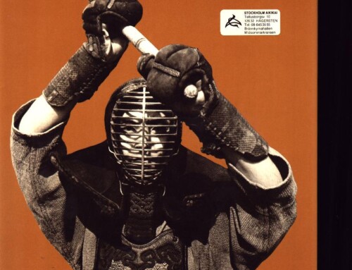 Modern Bujutsu & Budo